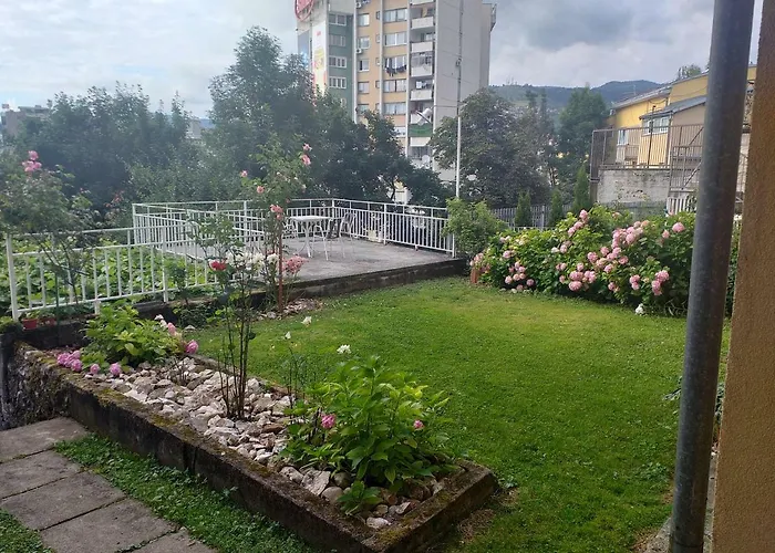 Sanin سراييفو